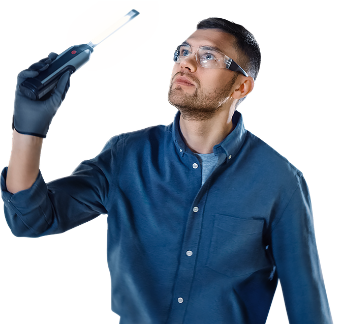 �������� ������ <br> �� ����������<br> ��������������